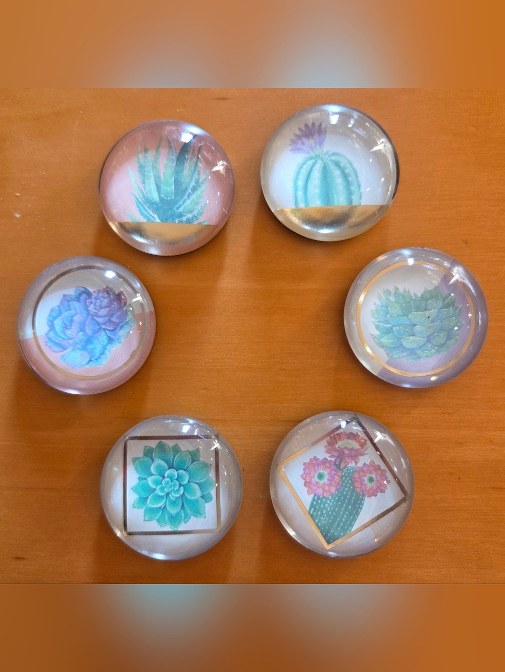 Flower & Succulent Magnets (Qty. #6)